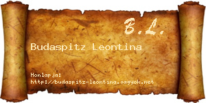 Budaspitz Leontina névjegykártya